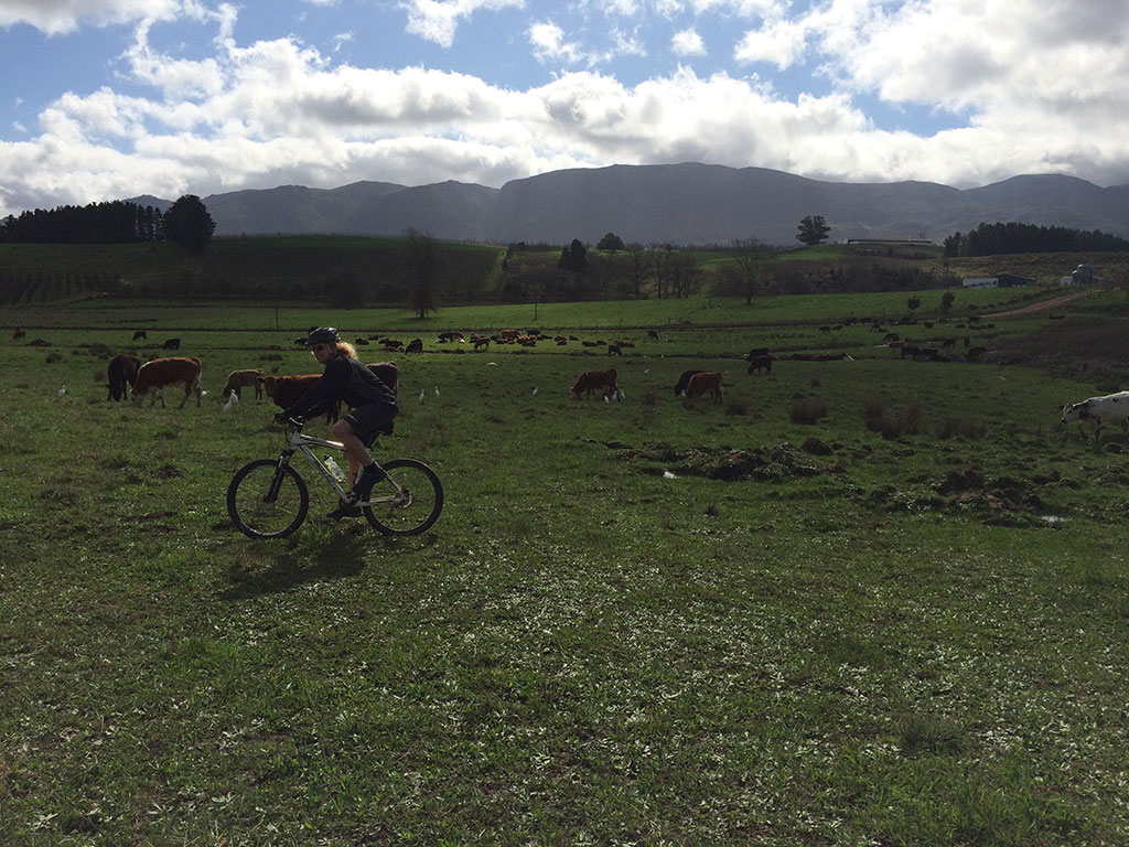 Mountain Biking 2.