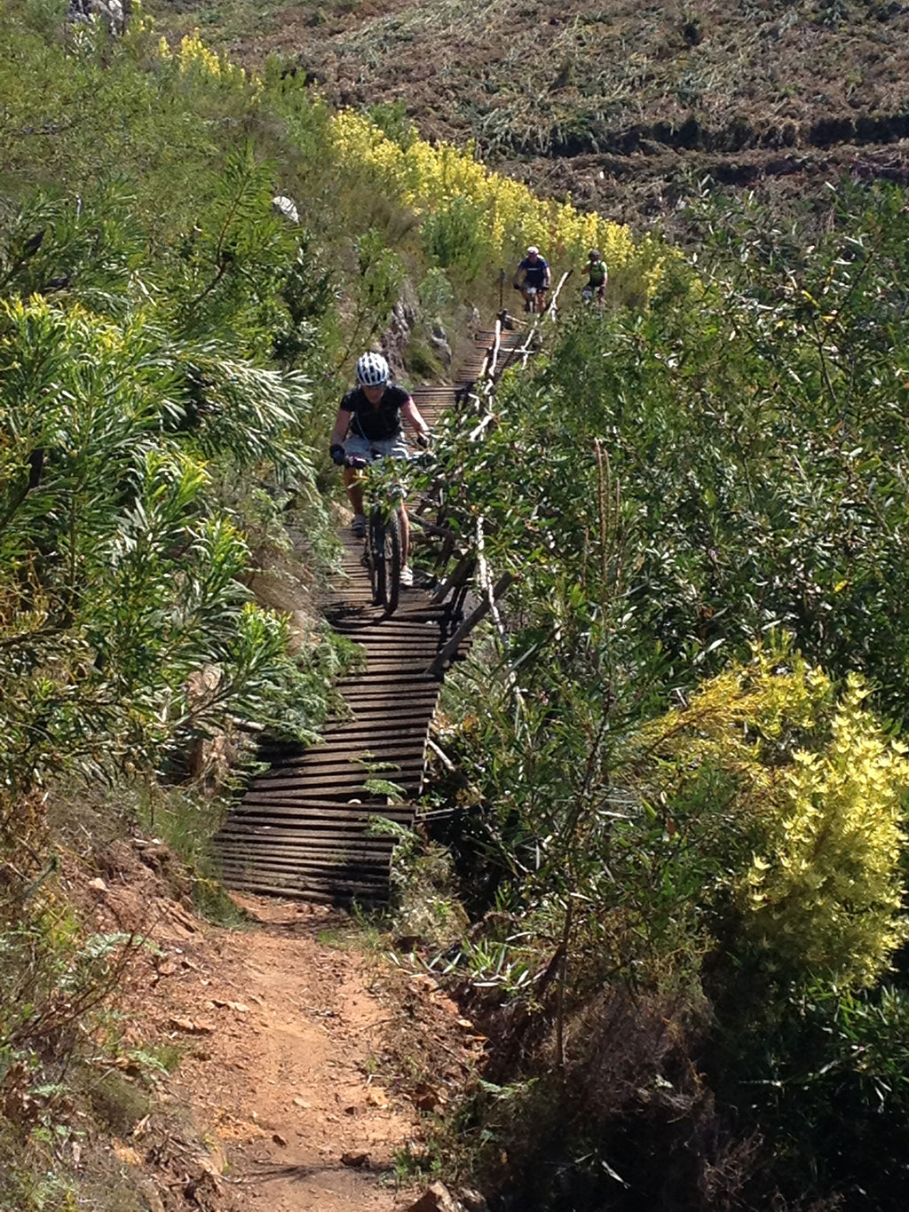 Mountain Biking 3.
