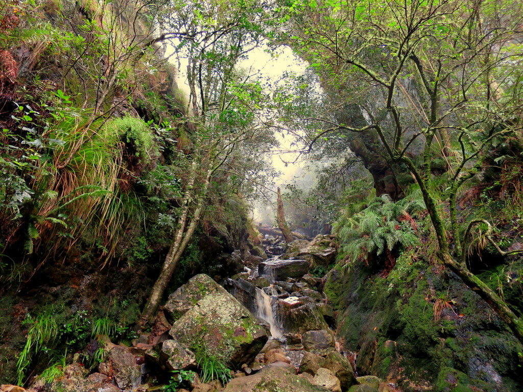 Skeleton Gorge.