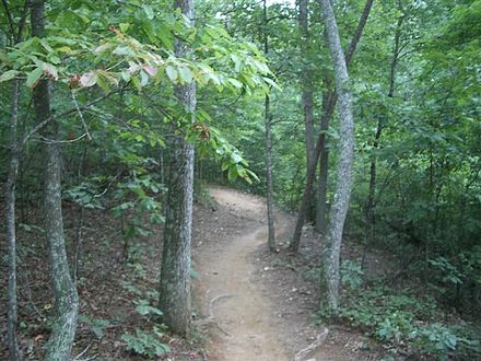 Single Track.