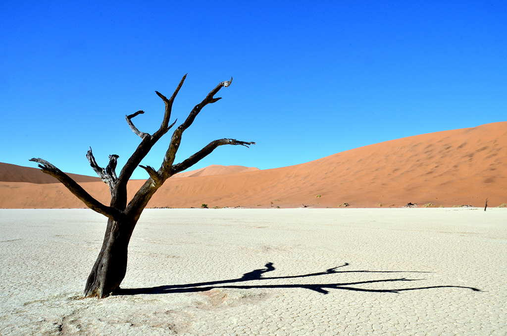 Sossusvlei - Around About Cars