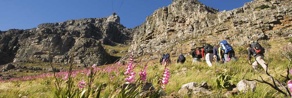 Tafelberg Road.